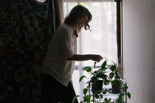 home decor woman standing beside plants human